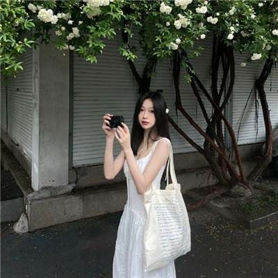 使君有妇